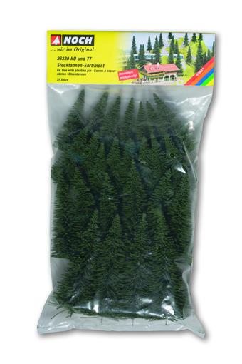 50 alberi di abete con perno