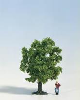 Albero da frutta verde #