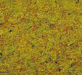 POLVERE Prato estivo, 100 g.