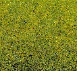 POLVERE prato primaverile, 100 g.