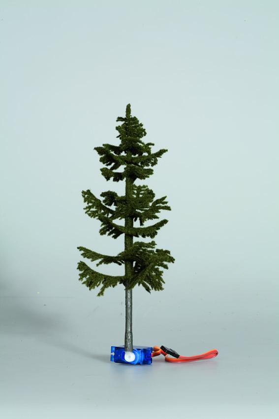 Abete nordico che cade digitale, 19 cm