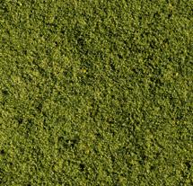 POLVERE VERDE X PRATO 90GR
