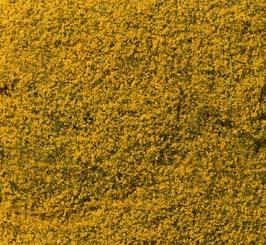 FOLIAGE IN FIORE GIALLO