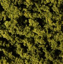 FOGLIAME VERDE CHIARO