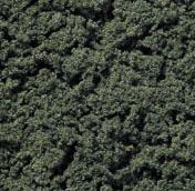FOGLIAME VERDE SCURO