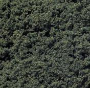 FOGLIAME A PEZZI VERDE SCURO
