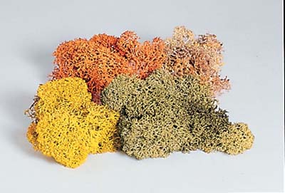 MUSCHIO ASSORTITO
