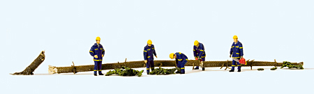 OPERATORI RIMOZIONE ALBERO CADUTO