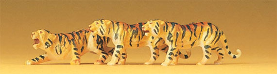 3 TIGRI