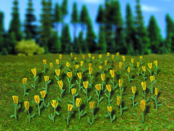 Tulipani gialli
