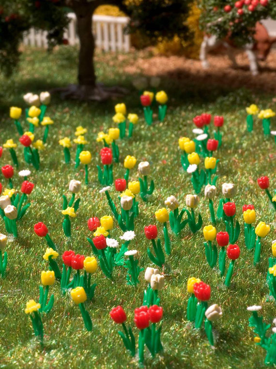 Fiori vari