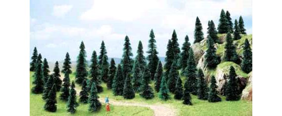 BUSTA CON 50 ALBERI N
