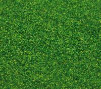 Vedi Scheda Faller 170702 - Materiale da spargere, 30 g, verde pallido Faller - Scala  H0 TT N Z 