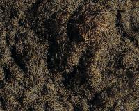 Vedi Scheda Faller 170727 - Fibra da spargere, 35 g, marrone del bosco Faller - Scala  H0 TT N Z 