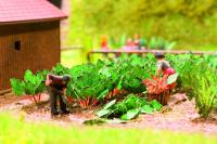 Vedi Scheda Noch 14108 - Laser-Cut minis Rabarbaro, 12 plants Noch - Scala  H0 